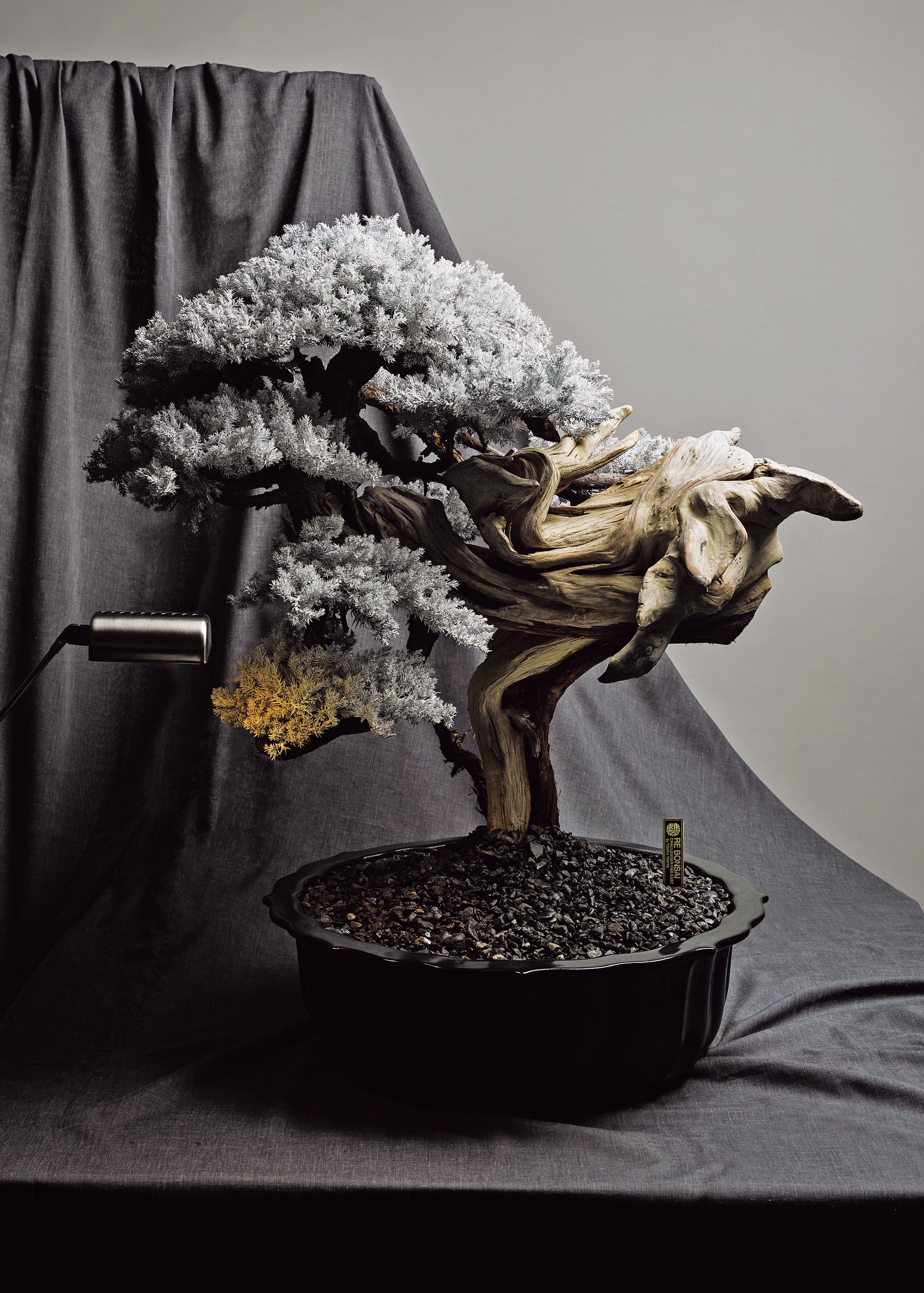 商品一覧 – GOETHE STORE